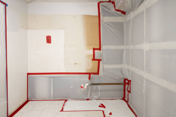 Best Mold Removal for HVAC Installations  in Los Osos, CA
