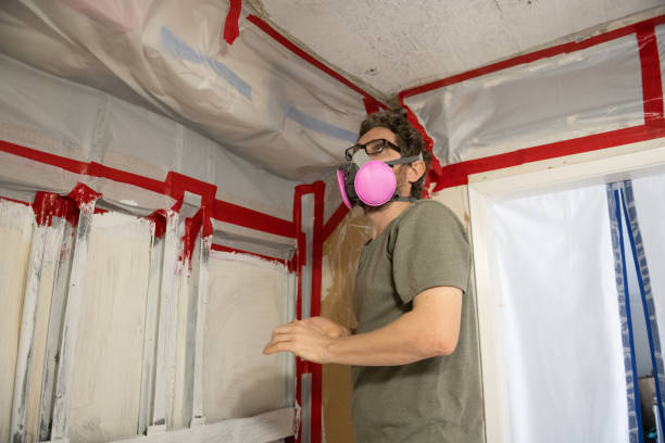 Best Black Mold Removal  in Los Osos, CA