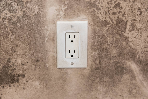 Best Air Quality Testing for Mold Spores  in Los Osos, CA